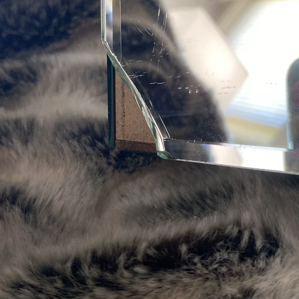 GORGEOUS mirrored and crystal cigar/jewelry box